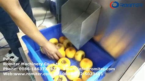 Automatic Persimmon Fruit Peeling Machine For Sale YouTube