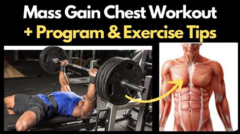 Chest Exercises For Men Before And After