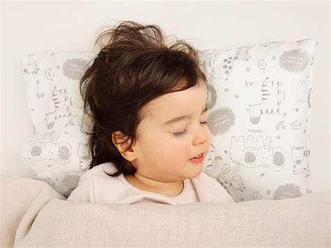 Amazon.com: Toddler Pillow with Pillowcase 13x18 My Little Dreamy