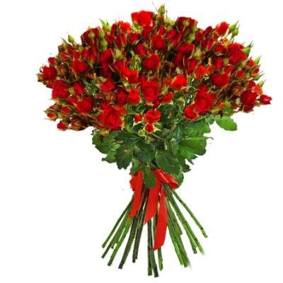 Красные кустовые розы "Кейт" | Розы, Красные розы, Цветы