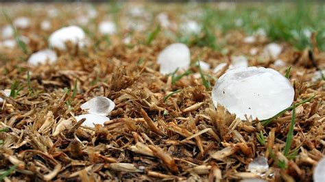 Hail How It Forms And Why It Can Get So Big