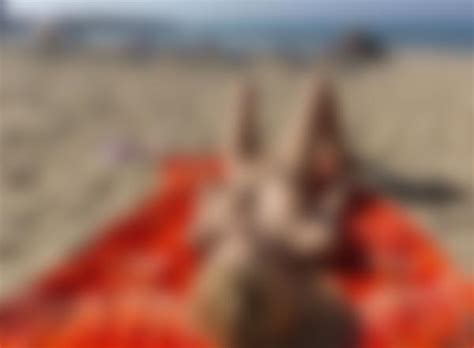 Erica F Nude Beach Part Hegre Photos