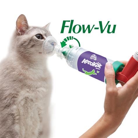 annunciatore Qualunque distorsione rinite gatto aerosol generazione ...