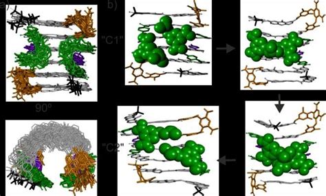 a) Overlay of ten snapshots of the 10 ns MD simulation of C1 at 400K ...
