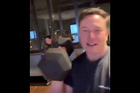 La Pelea En Jaula Entre Elon Musk Y Mark Zuckerberg Se Vuelve Una