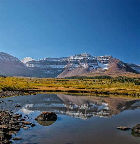 Uinta Wasatch Cache National Forest | Utah.com