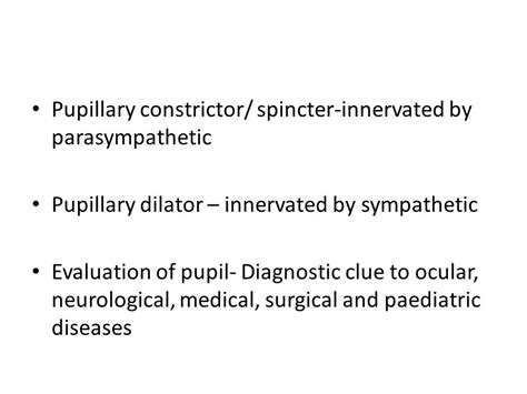 Pupillary Pathways And Reactions Ppt Video Online Download