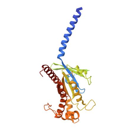 RCSB PDB 8GEA CryoEM Structure Of Beta 2 Adrenergic Receptor In