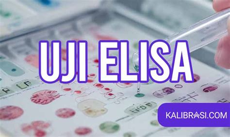 uji elisa  teknik pengujian laboratorium  menganalisis