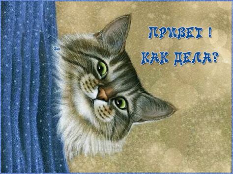 Открытки Привет, как дела в Доме Солнца