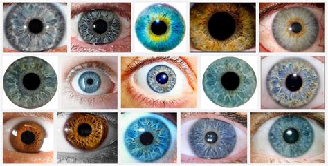 What Is Iris Color Chart Caméra Diridologie Maikong And Fabricant