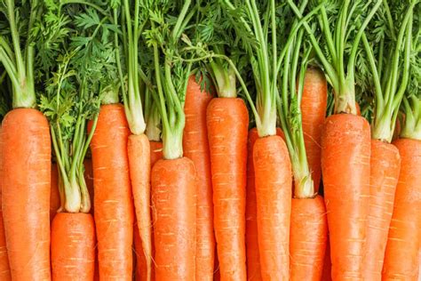 Growing Carrots In Containers A Comprehensive Guide