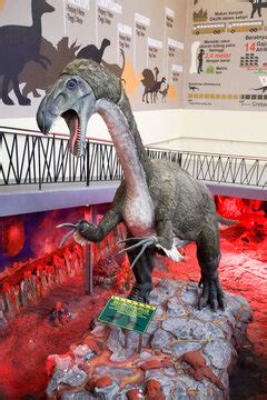 thecodont  adobe stock