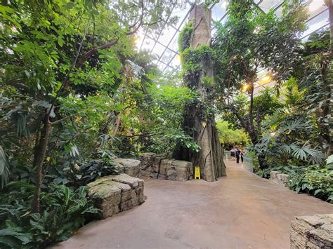 Biodôme Montréal Tropical Rainforest Inside Entrance Zoochat