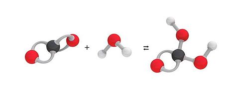 Carbonic Art - Fine Art America