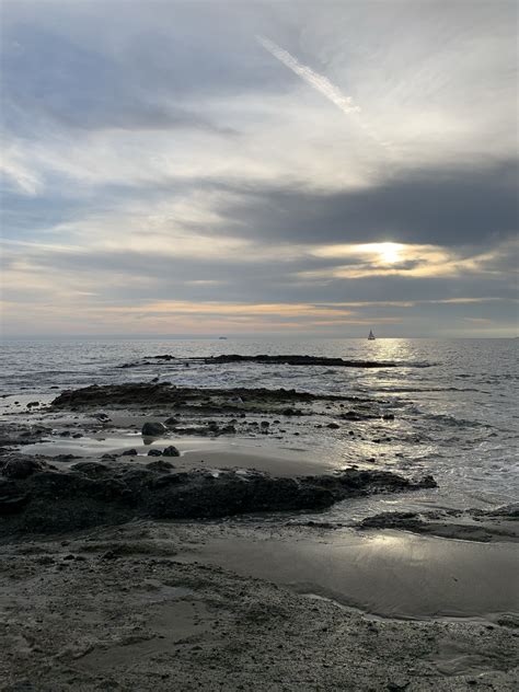 US Pacific Coast - Collection | OpenSea