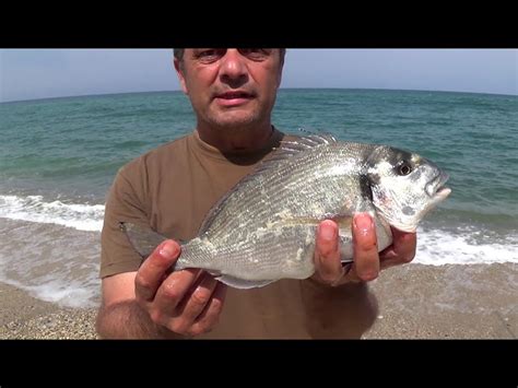 Дорадо: описание рыбы с фото, рецепты как вкусно приготовить в духовке