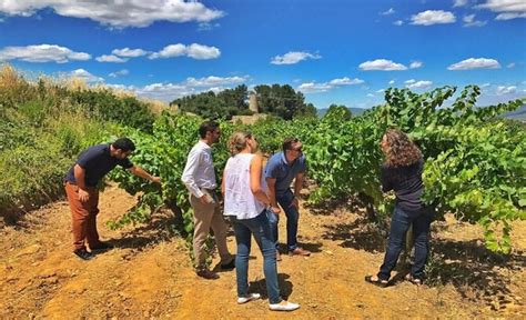 8 Best Barcelona Wine Tours 🍷 City And Day Trips 2023