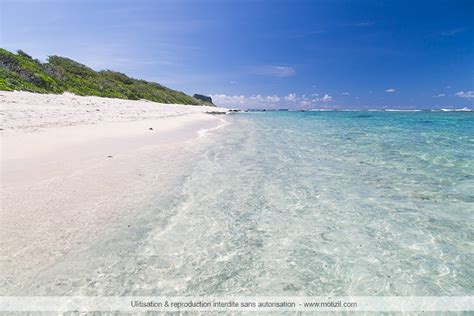 ile plate excursion en catamaran motizil