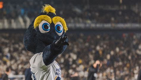 heard   street  voices  las rowdiest supporters groups