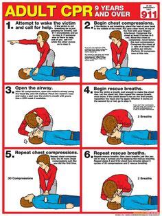 Adult CPR Professional Instructional Poster (2013 AHA Guidelines) - Fitnus Survival Shelter, Cpr ...