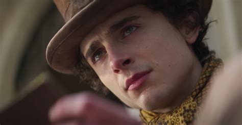 El Primer Tráiler De Wonka Con Timothée Chalamet Y Todo Lo Que Debes