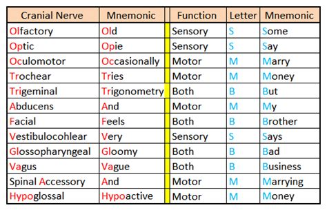 Cranial Nerves Mnemonic Function Labeled Names In Order 43 Off