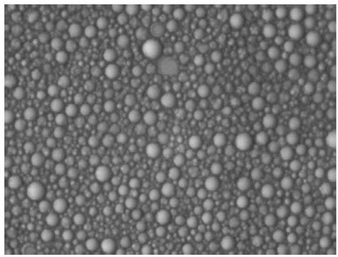 Pine Moth Sex Pheromone Microcapsule And Preparation Method Thereof Eureka Patsnap