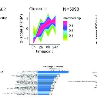 Dynamic Temporal Variation Mode Of Chromatin Accessibility During Hasc