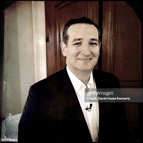 330 Ted Cruz Portrait Stock Photos, High-Res Pictures, and Images ...