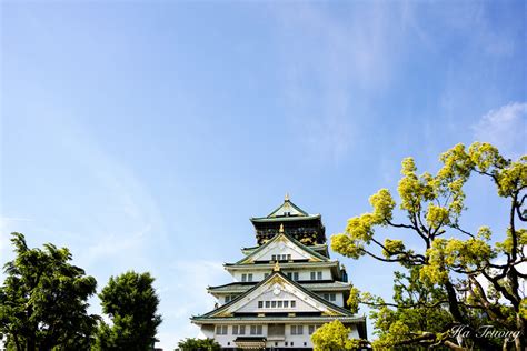 Osaka Castle Japan: Travel Tips & Review | Expatolife