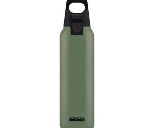 Sigg Hot Cold One L Leaf Green Ab Preisvergleich Bei Idealo De