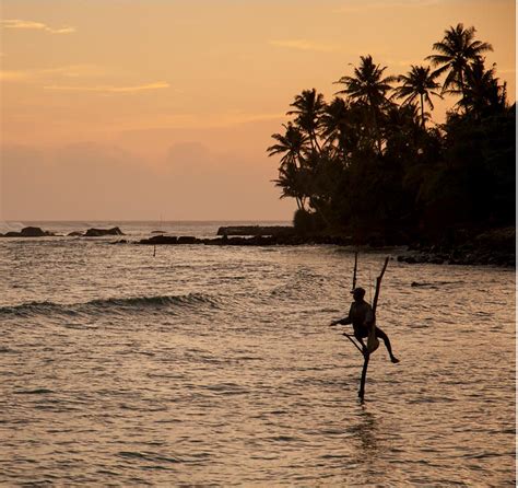 Sri Lanka una isla repleta de playas que te dejarán sin aliento Foto 4