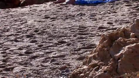 Cita Amateur En La Playa Follada Anal Xhamster