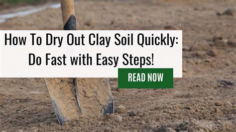 How To Dry Out Clay Soil Quickly Do Fast With Easy Steps