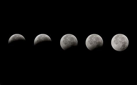 Hd Wallpaper The Moon Eclipse Phase Lunar Eclipse Wallpaper Flare