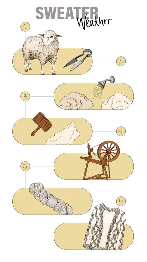 untangling indianas wool industry  snapshot  hoosier sheep farming