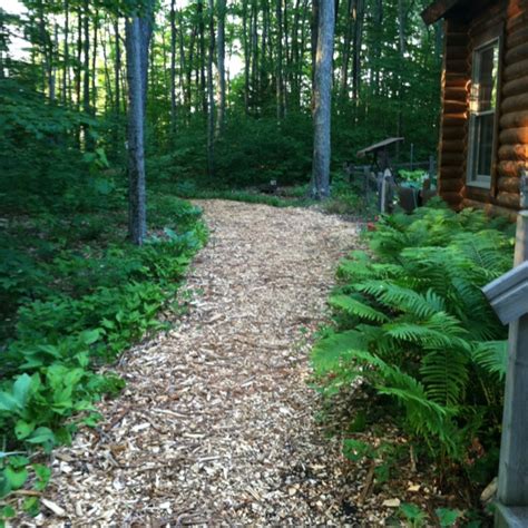 Wood Chip Path Through The Woods Could Do This After We Mulch All The