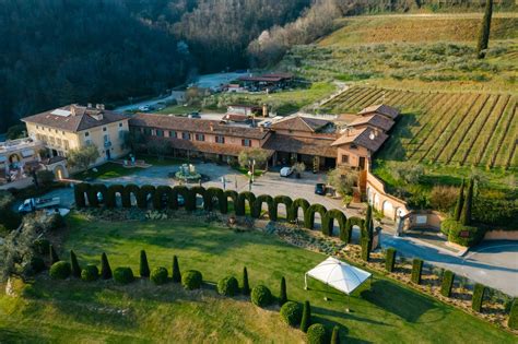 Wine Investment Trends: Which Regions and Varieties Are Gaining Value
