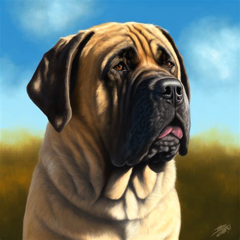 What Is Biggest Dog Breed