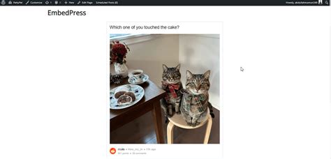 The Benefits And Challenges Of Using Web Embeds In Website Design ...