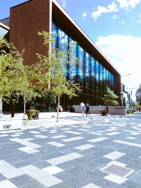 University Of Toronto Mississauga Academic Goals College List