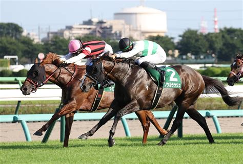 【京成杯ah】2番人気のソウルラッシュがトップハンデ59キロを克服して重賞2勝目 ライブドアニュース