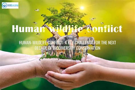 Human Wildlife Conflict Navigating The Challenges Of Human Wildlife