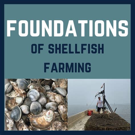 Foundations of Shellfish Farming Training Course 2023 | Extension News ...