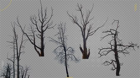 artstation  dead  burnt trees resources