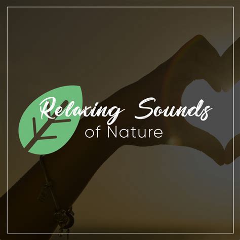 Relaxing Sounds Of Nature Vol 7 Compilation By Various Artists