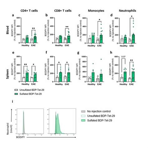 The Composition Of The Immune Cells In Choroid Plexus Brain And