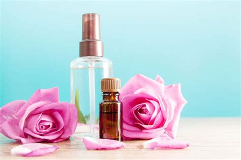 Herbal Skin Care for Beginners - Simple Pure Beauty