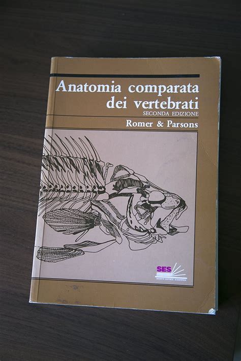 Anatomia Comparata Dei Vertebrati Amazon Co Uk Books